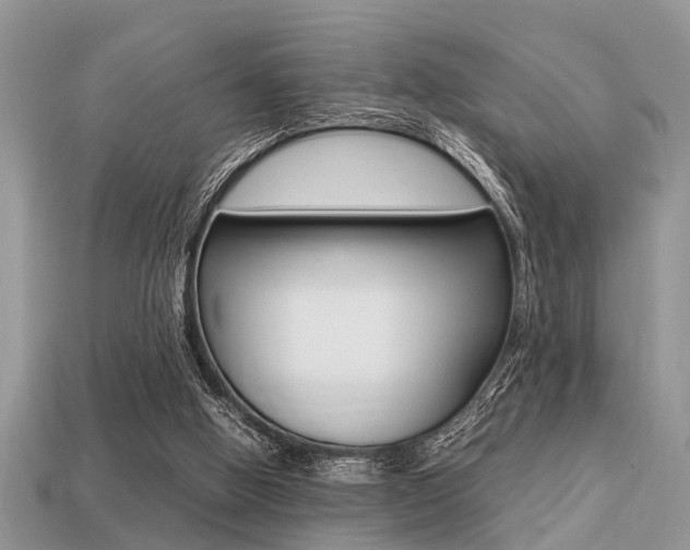 X0000113220058200909100931