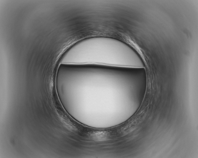 X0000113220059200909100931