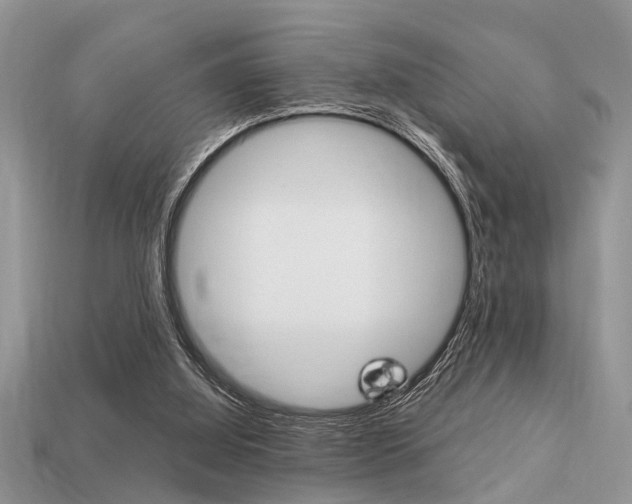 X0000113220060200909100931