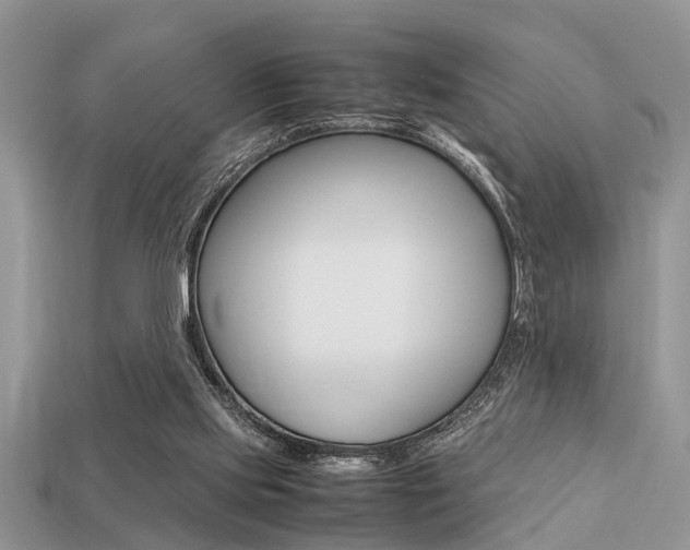 X0000113220061200909100931