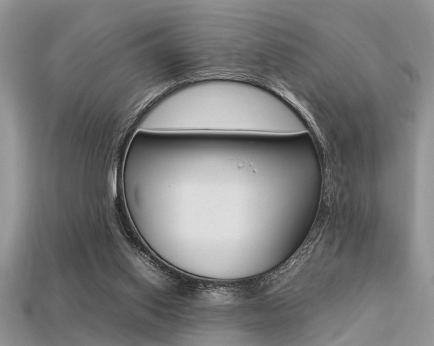 X0000113220062200909100931