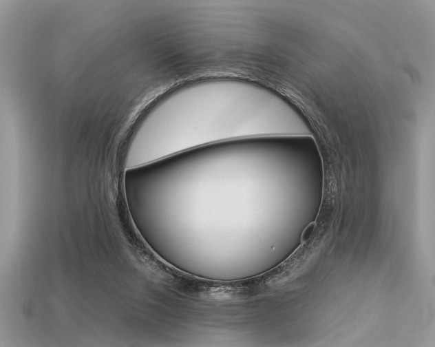 X0000113220064200909100931