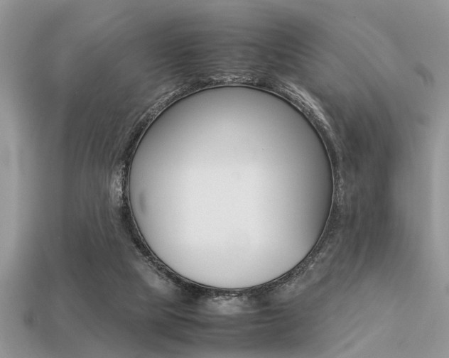 X0000113220065200909100931