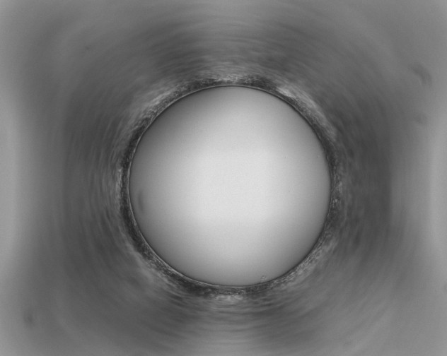 X0000113220066200909100931