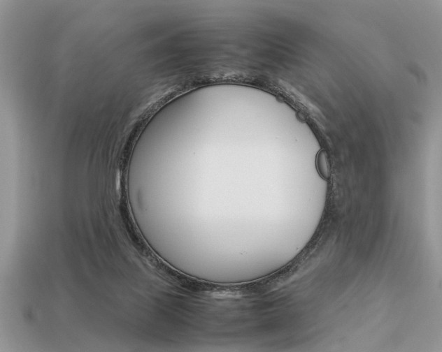 X0000113220067200909100931