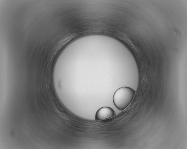 X0000113220068200909100931