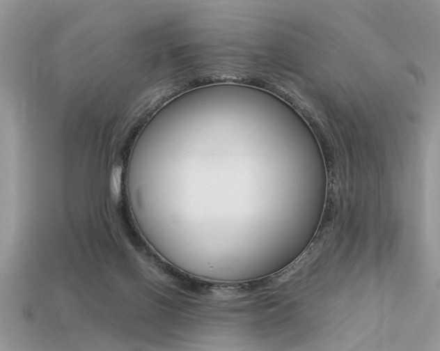 X0000113220070200909100931