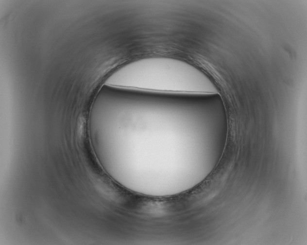 X0000113220071200909100931