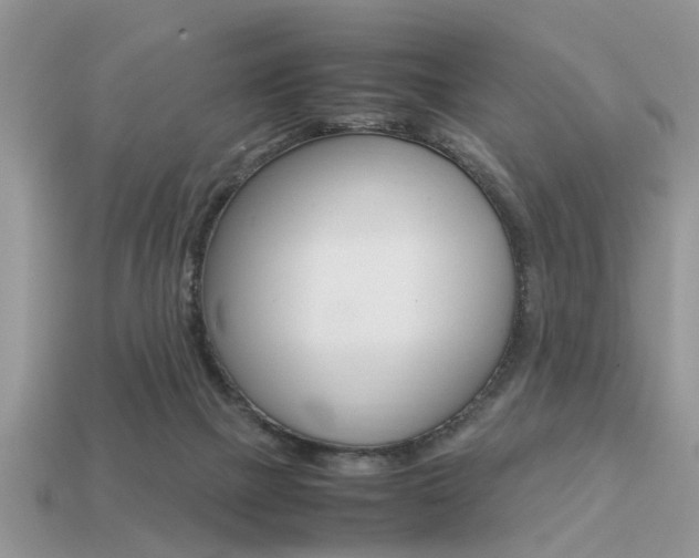 X0000113220073200909100931