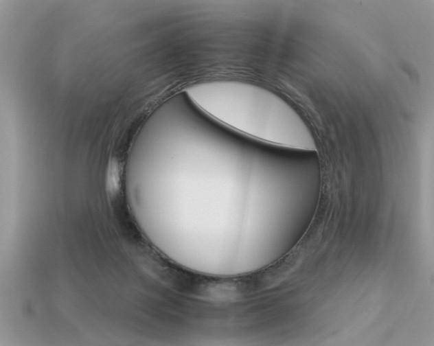 X0000113220075200909100931