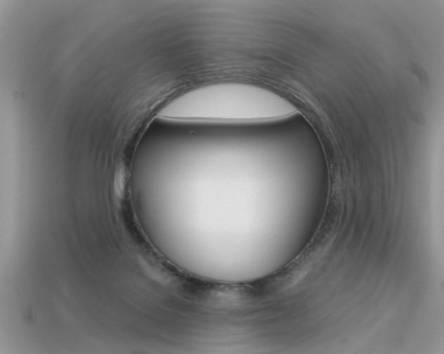 X0000113220076200909100931