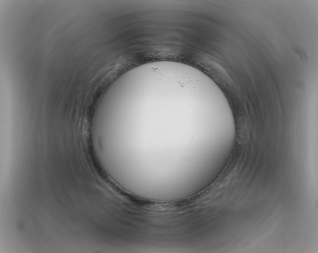 X0000113220077200909100931