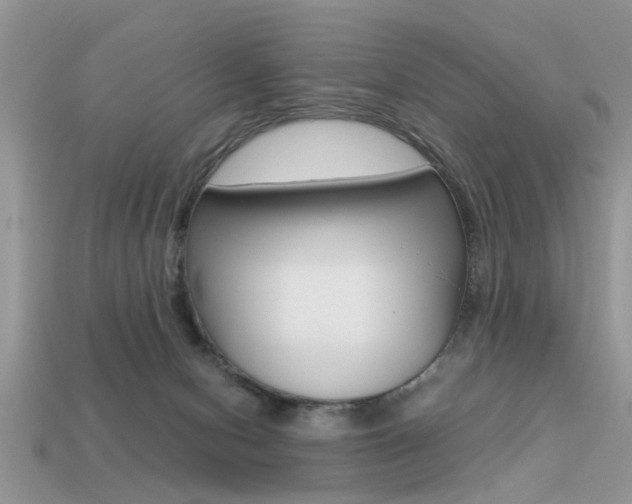 X0000113220078200909100931