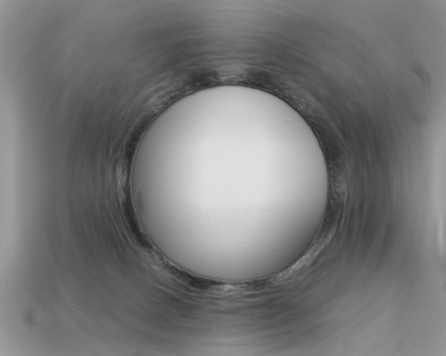 X0000113220082200909100931