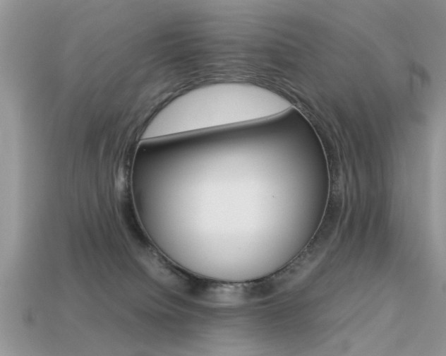 X0000113220084200909100931