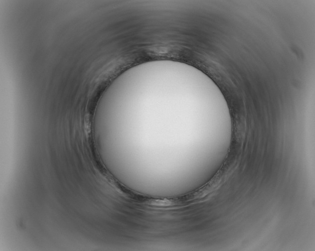 X0000113220085200909100931