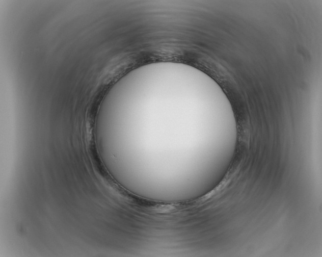 X0000113220086200909100931