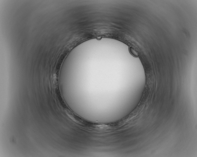 X0000113220087200909100931