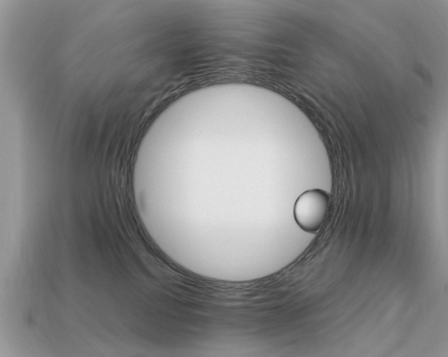 X0000113220088200909100931