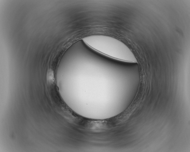 X0000113220089200909100931