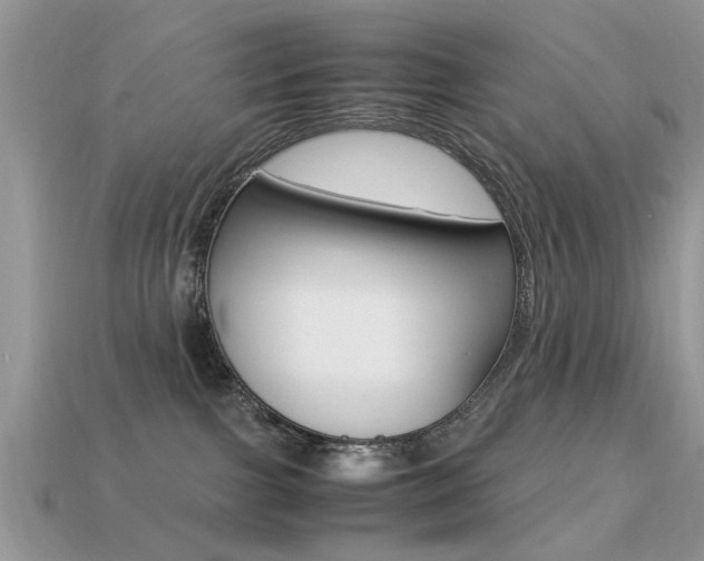 X0000113220091200909100931