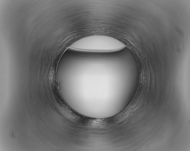 X0000113220092200909100931