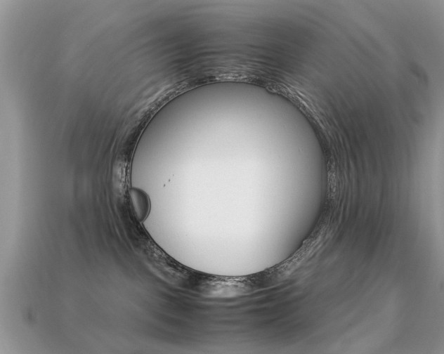 X0000113220093200909100931