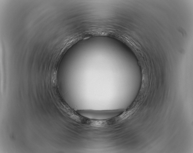 X0000113220096200909100931