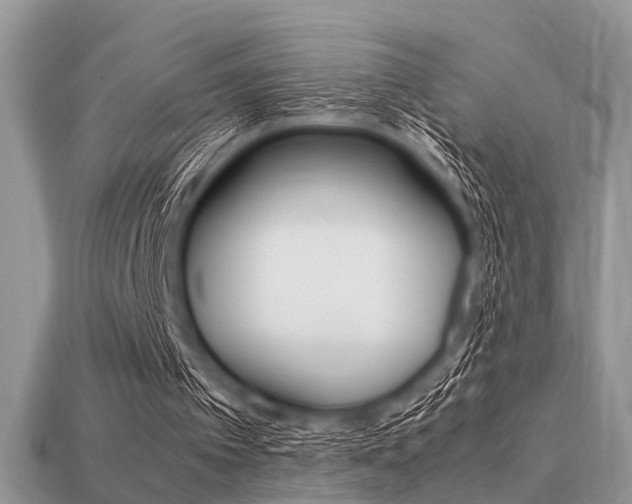 X0000113220097200909100931