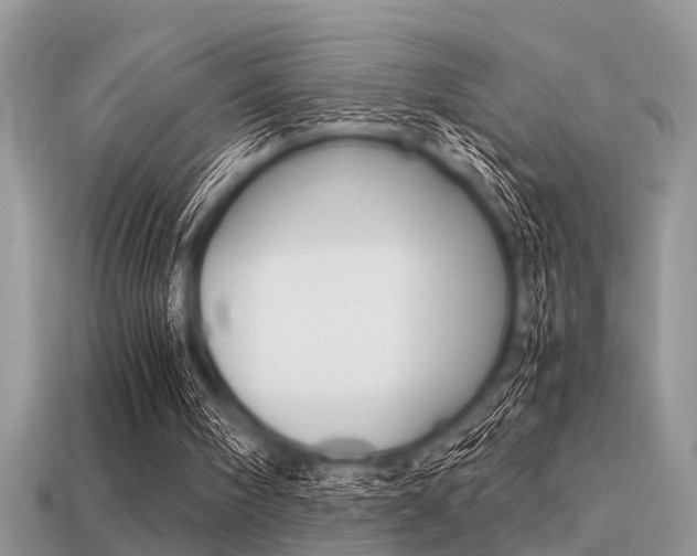 X0000113220098200909100931
