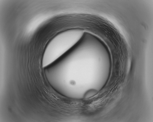 X0000113220099200909100931