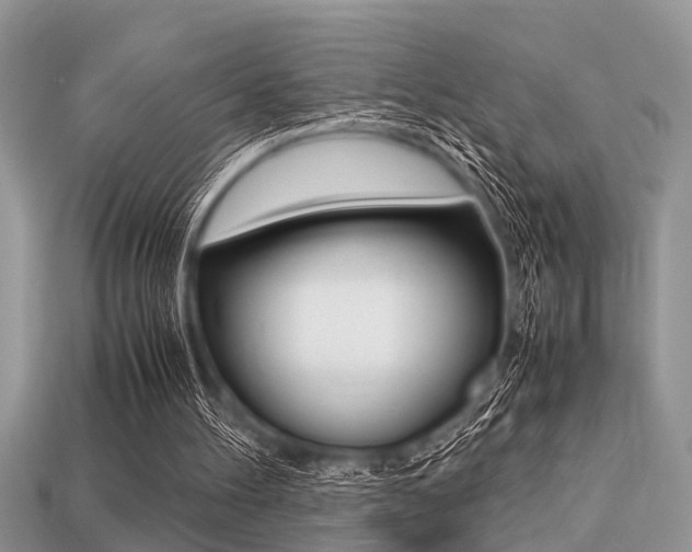 X0000113220100200909100931