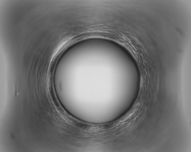 X0000113220101200909100931