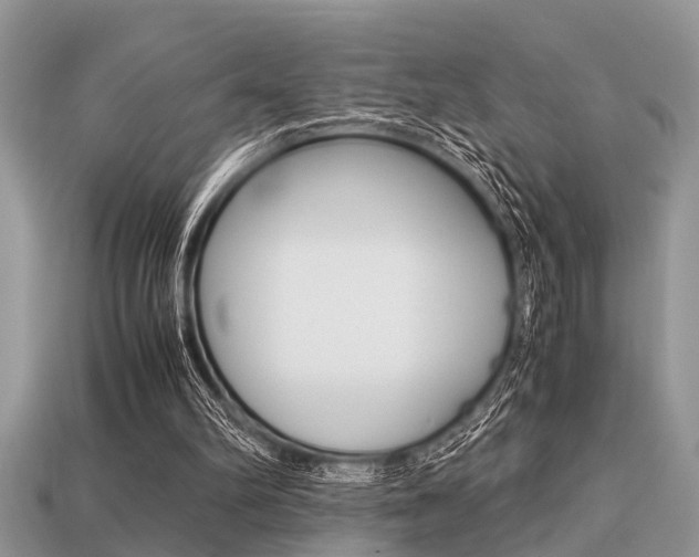 X0000113220102200909100931