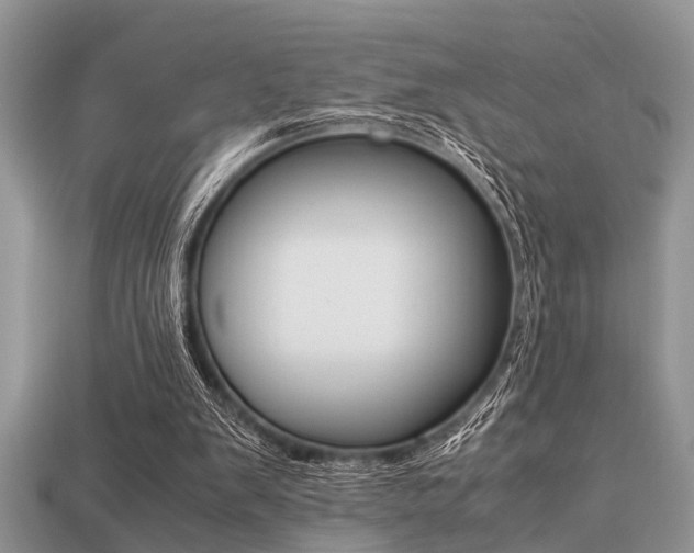 X0000113220103200909100931