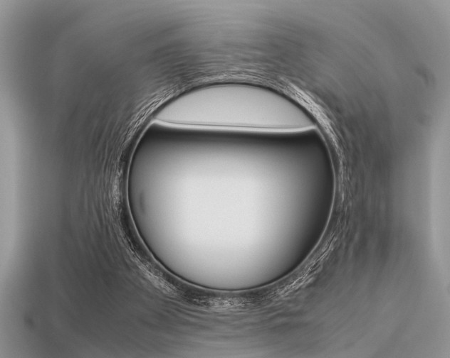 X0000113220105200909100931