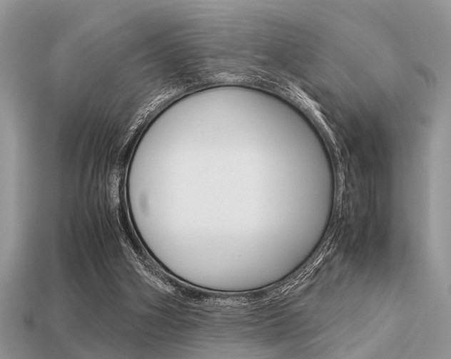 X0000113220106200909100931