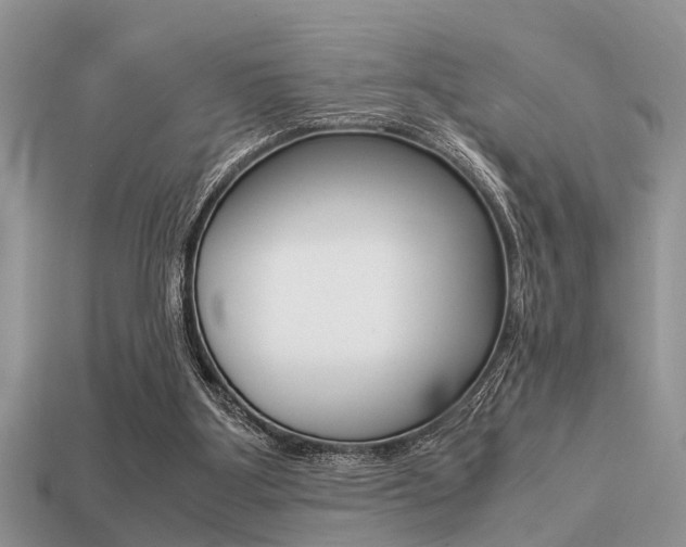 X0000113220107200909100931