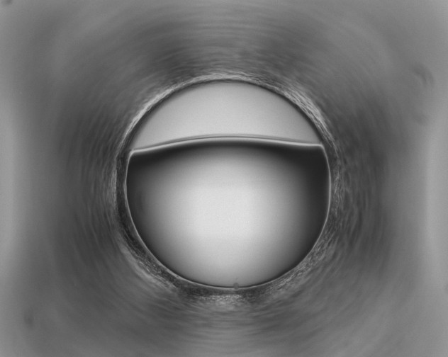 X0000113220108200909100931