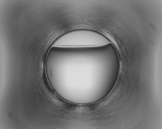 X0000113220109200909100931