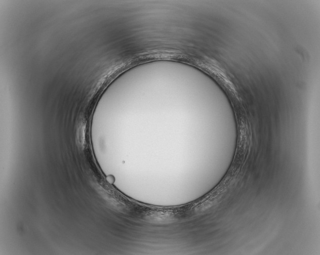 X0000113220110200909100931