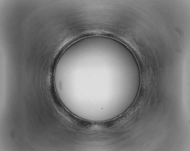 X0000113220111200909100931