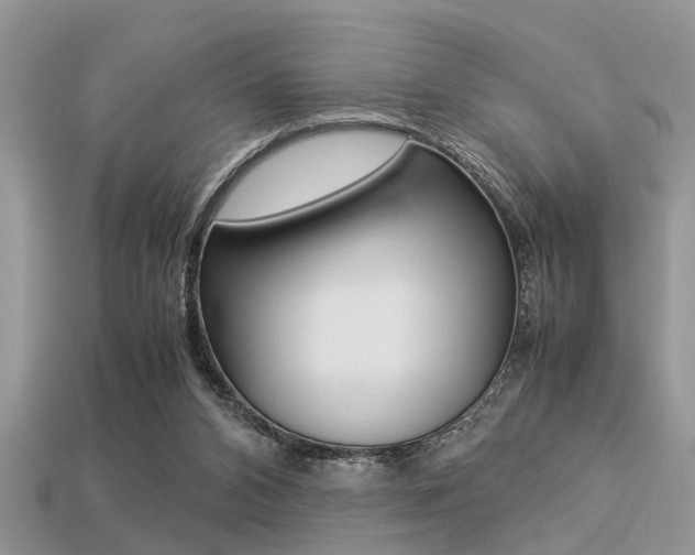 X0000113220112200909100930