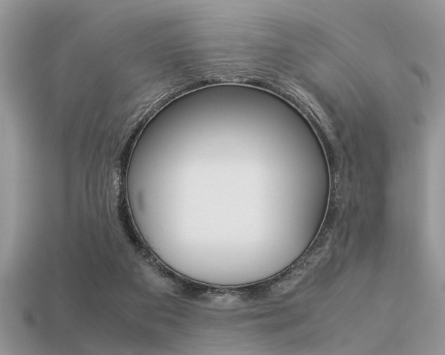X0000113220113200909100930