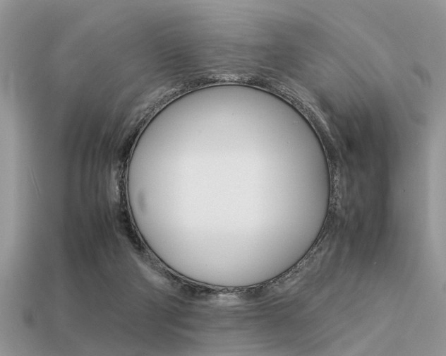 X0000113220114200909100930
