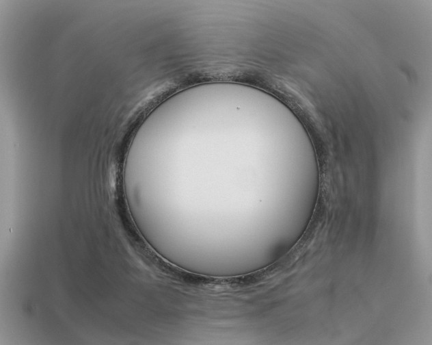 X0000113220115200909100930