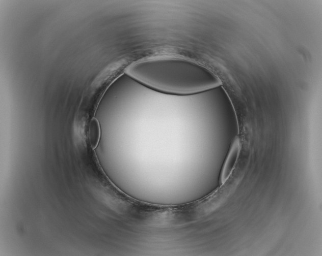 X0000113220116200909100930