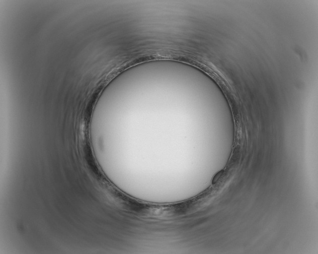 X0000113220117200909100930