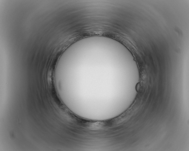 X0000113220122200909100930