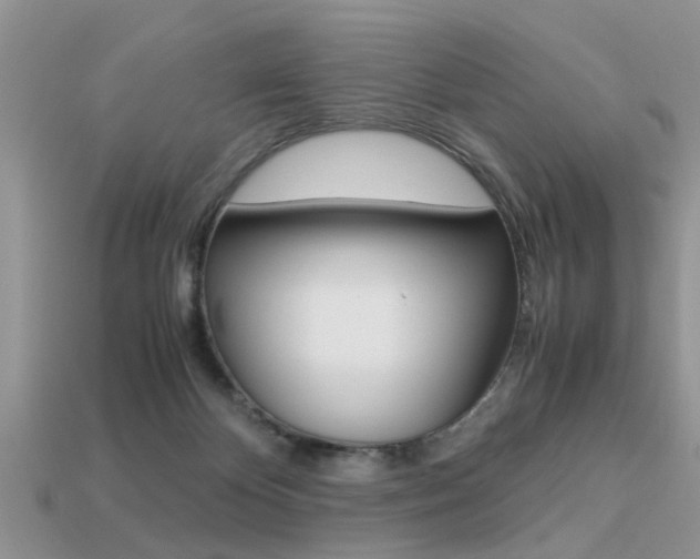 X0000113220124200909100930